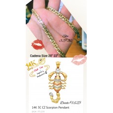 Chain and Scorpion Pendant