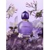 Good Fortune Viktor&Rolf W